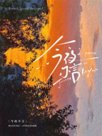 今夜不言
